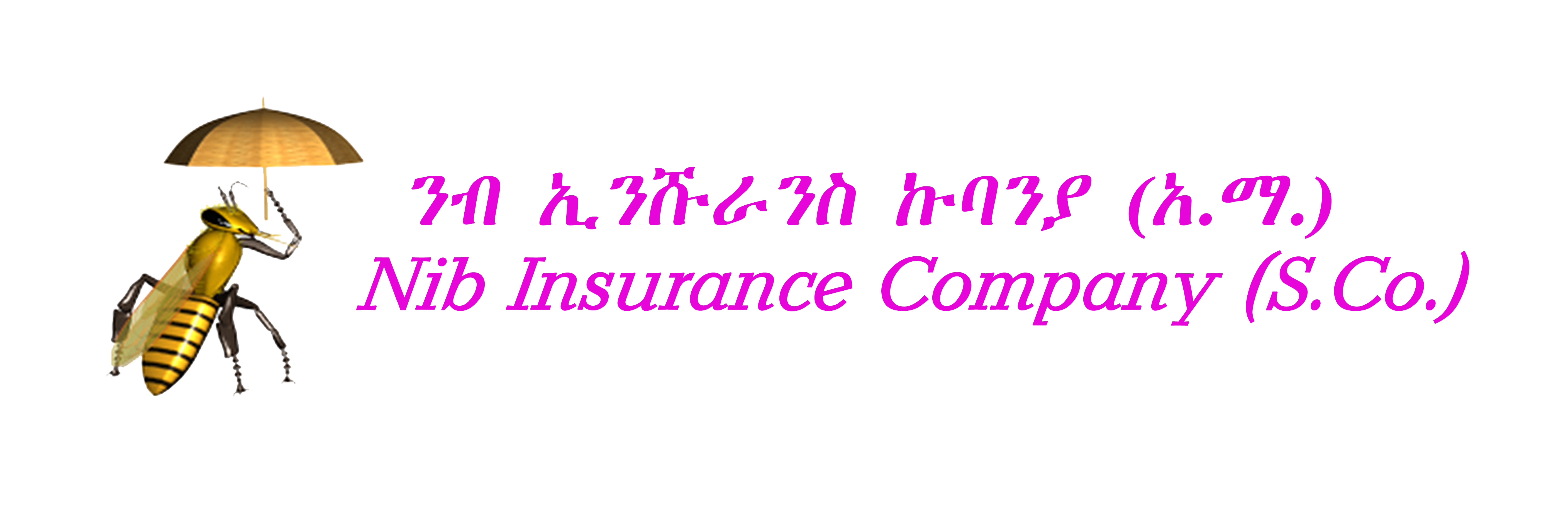 NIB INSURANCE COMPANY S.C.